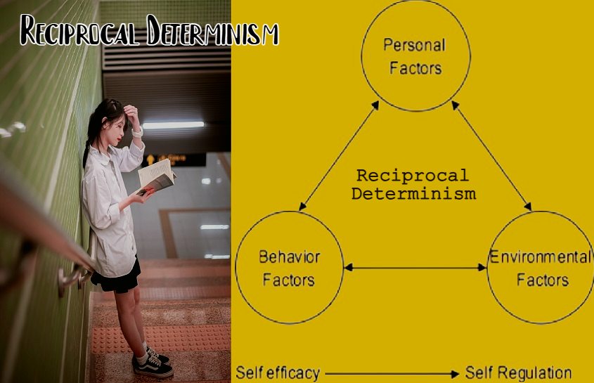 Reciprocal Determinism