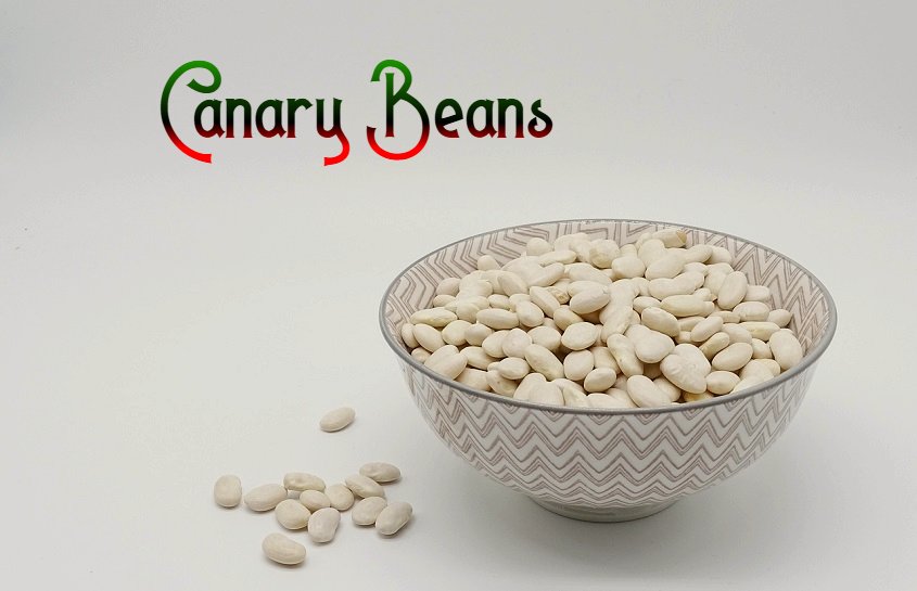 Are canary beans healthy