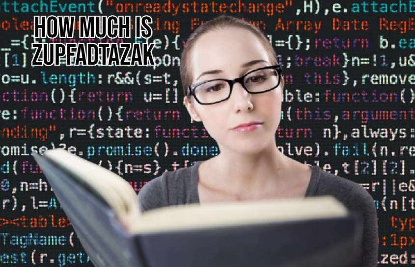 How Much is Zupfadtazak