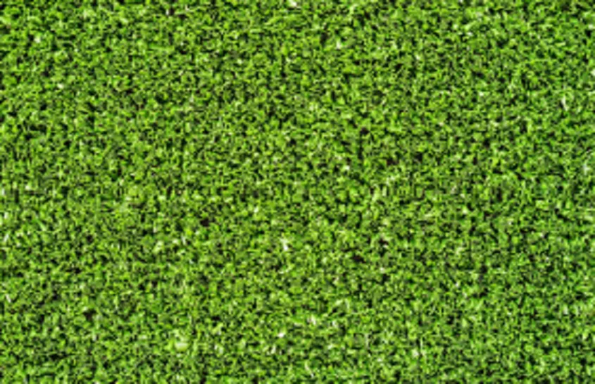 Synthetic Grass